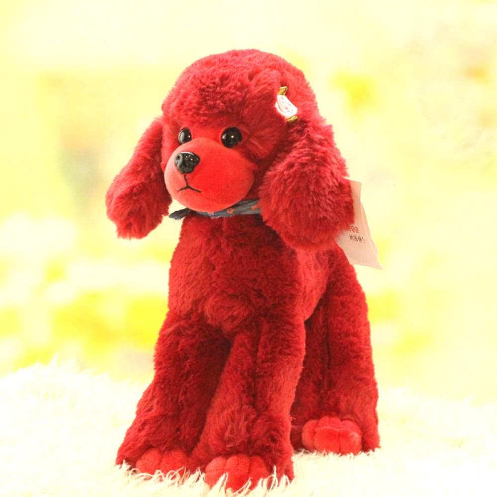 red teddy poodle