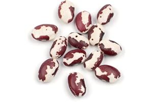 D'ALLESANDRO Anasazi Beans, 10 Lb Bag