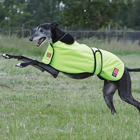 jans greyhound coats