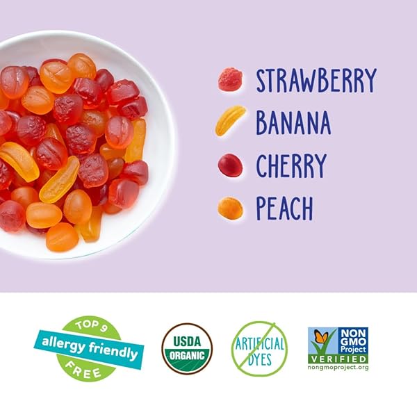 YUMEARTH ORGANIC FRUIT SNACKS BOX, 0.7 OUNCE (PACK OF 10)