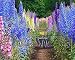 Larkspur - Wild Delphinium Mixed Colors - 4' Tall and Used Widely by Floral Designers