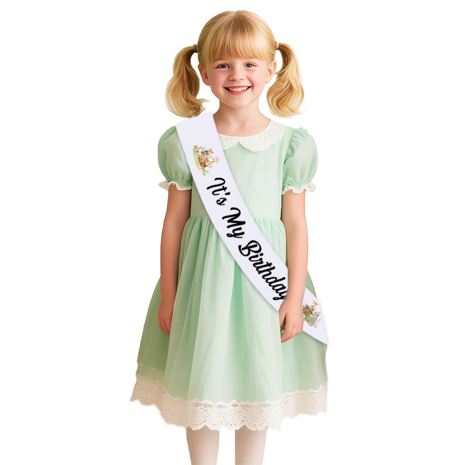 Diartpaint Storybook Birthday Party Decor Book It's My Birthday Sash for Book Lover Boy Girl Vintage-Book Happy Bday Satin Sashes Storybook Bday Party Favor Gifts Supplies Photo Props — image 1