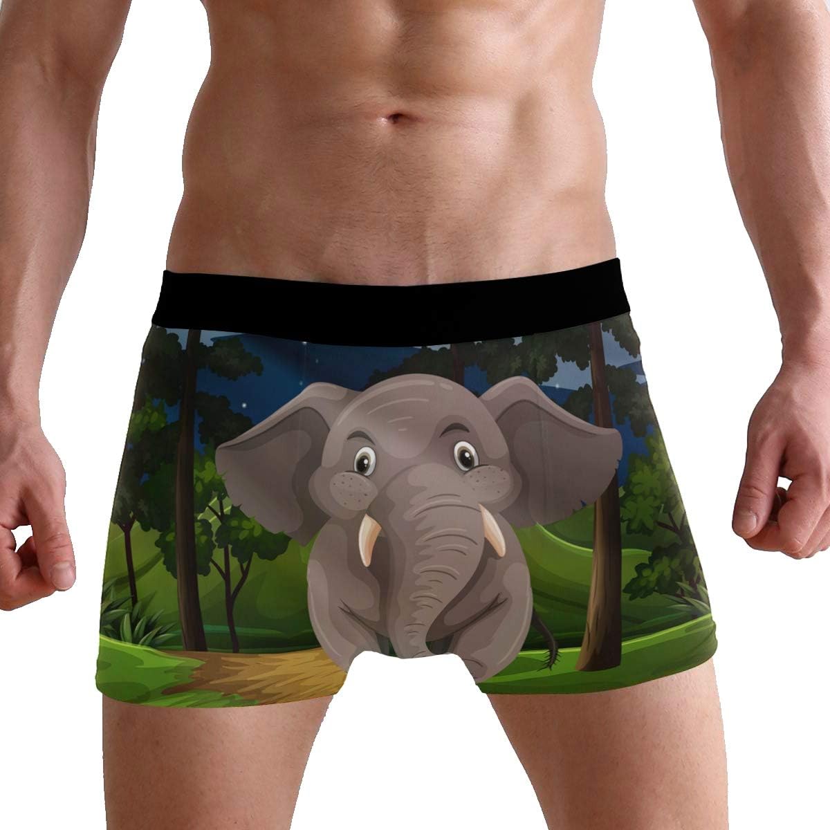 Gris éléphant marcher la forêt la nuit des hommes sousvêtements doux