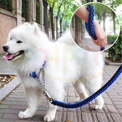 Comment Choisir Son Chien Nos Conseilles En 45 Photos