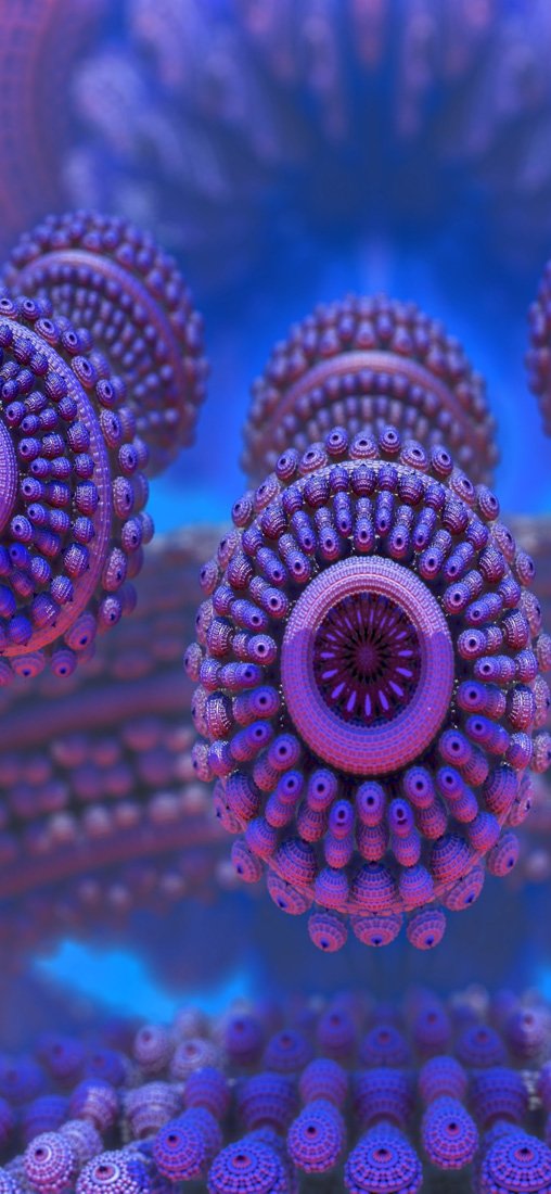 PeelitStickit Sea Shell, Wall Murals, ID-009, vinyl