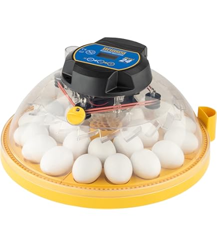 ORI Edition EGG Cleansing Device 2 大理石 Amazon.com: Eggo® Sonic Facial Device - Electric Cleanser