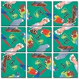 b. dazzle, inc Scramble Squares: Parrots