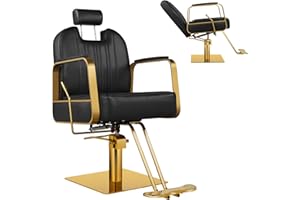 Hicomony Black Salon Chair for Hair Stylist, Barber Chair Hair Chair for Home Barbershop Recling, Stylist Chair Hydraulic Pump with 360° Rotation,130° Recline,All Purpose Salon Equipment
