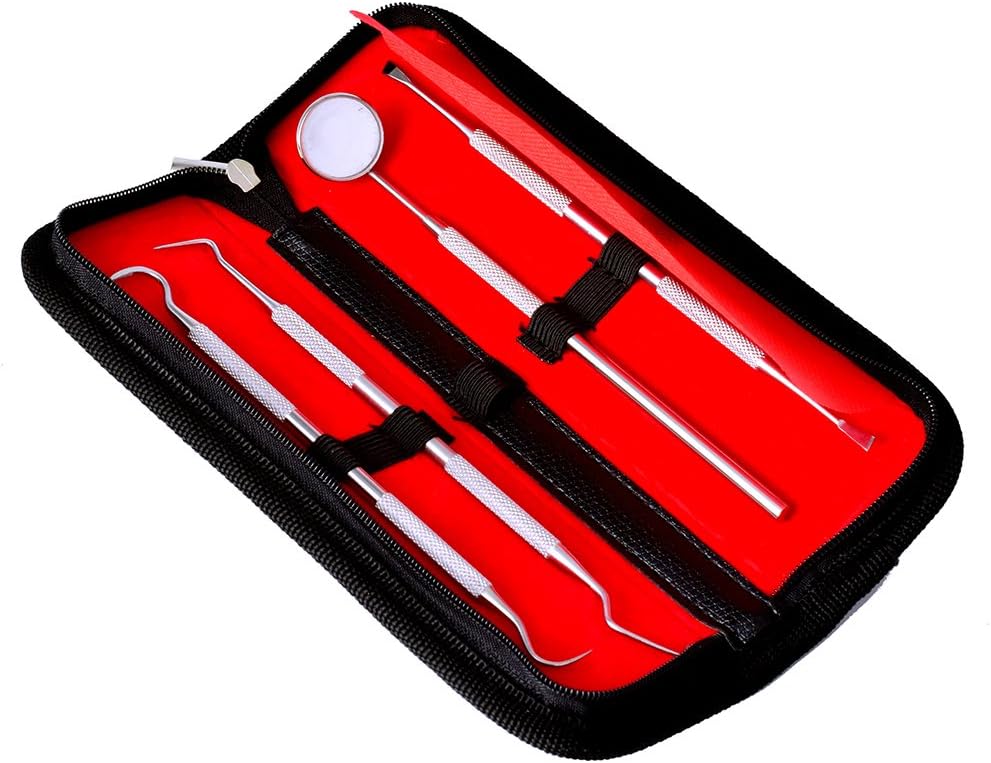 Plaque Remover for Teeth Dental Care Kit for Plaque Removal, Steel, 4 Count (Pack of 1)