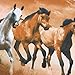 Galloping Horse Bedding Sets, 100% Polyester 3D Bedding Sets, 4pcs with Duvet Cover, Bed Sheet, 2*Pillow Case (Comforter Not Included) Twin Size