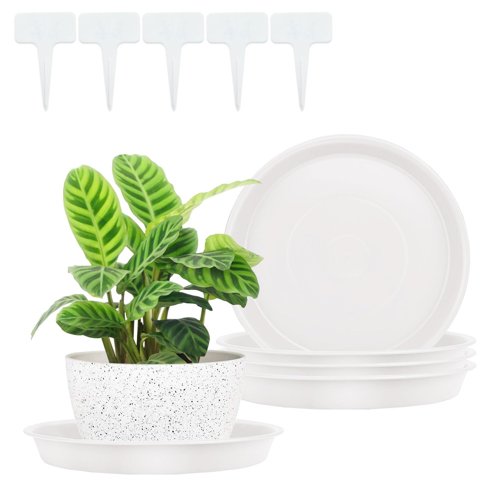 FANWINKJ Plant Pot Saucers Set of 5 with Labels, Heavy Duty Plastic Plant Trays, Water Drip Catcher for Indoor & Outdoor Pots, Multiple Sizes & Colours (White 250)