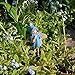 Scilla Fairy