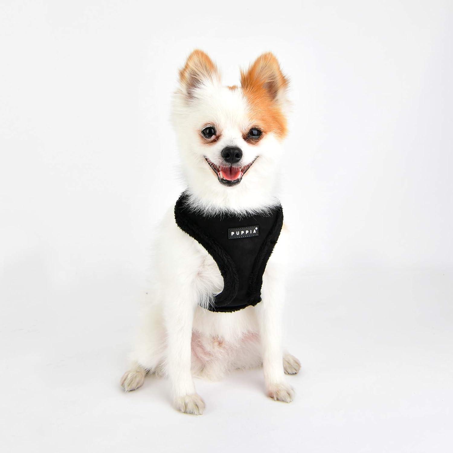 Puppia Dog Harness for small and medium dogs - TERRY HARNESS A - adjustable und comfortable Black - Image 3