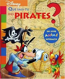 Que sais-tu des pirates ?