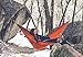 Double Camping Hammock- Best Lightweight & Portable Two Person Hammock Set –Aluminum Wiregate Carabiners, 2- 16 Loop Tree Straps & Compression Strap- Holds 500 LBS -Ideal for Travel- Orange Middle