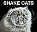 Shake Cats by Carli Davidson