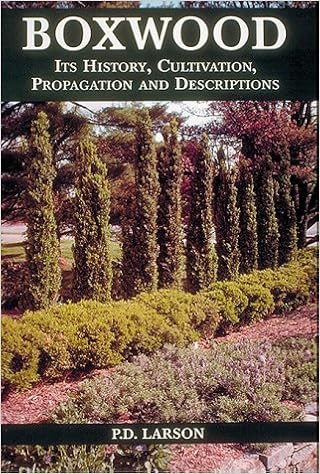 Image result for Boxwood: its history, cultivation, propagation and description Larson PD