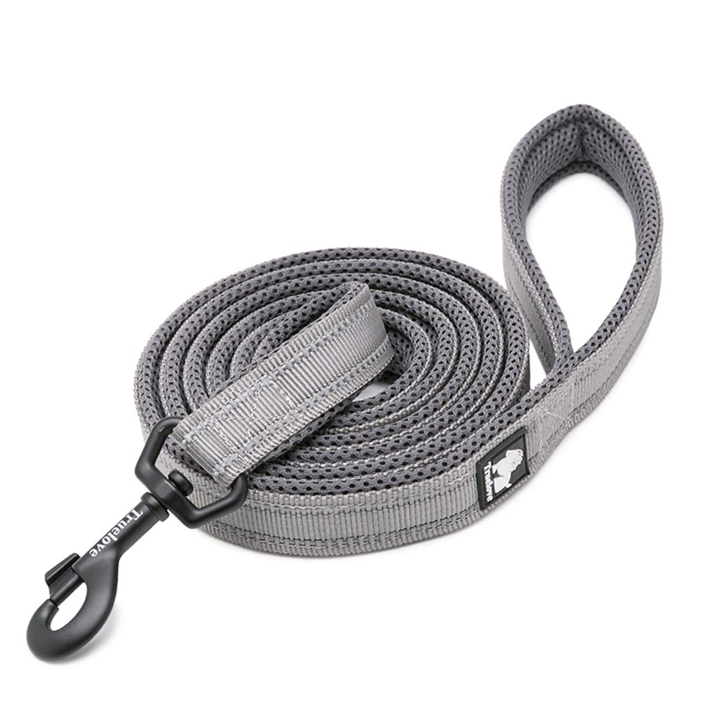 WINHYEPET True Love Dog Leash Nylon Sandwich Fabric comfort Reflective Safety Washable Dogs Belt Suitable for all Kinds of Dog Breeds Length 200cm Can be used together with Harness (Gray,M)