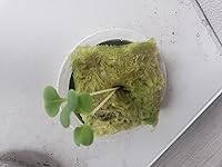 Review Image by Michigan Reviewer