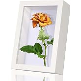 4x6 Inch Small Shadow Box Frame With Real Glass - Display Case For Memorabilia, Tickets, Pins, Photos, Crafts (Black) - View #11