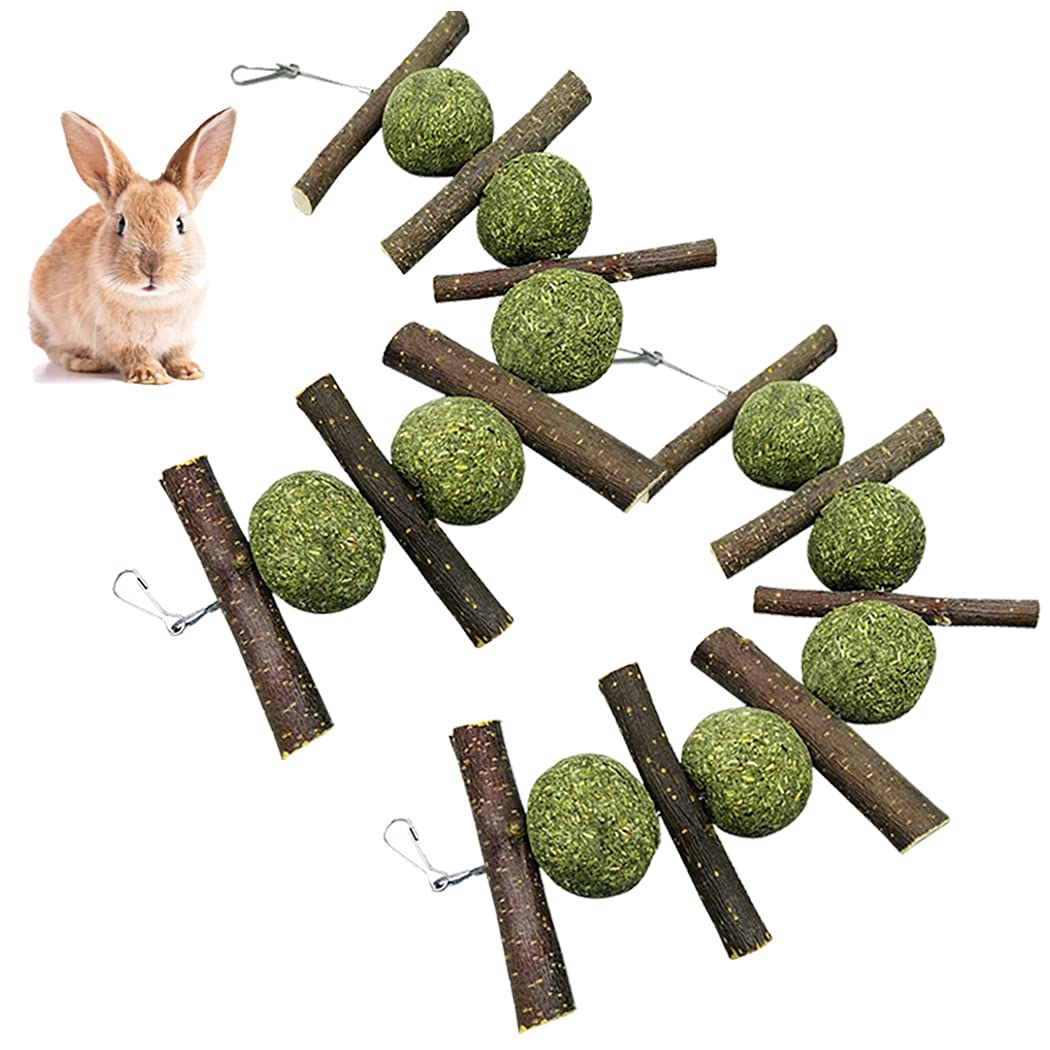 Outgeek Rabbit Chew Toy Natural 2PCS Funny Grass Interactive Hanging