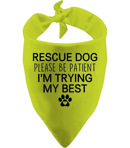 Hunde-Bandana „Bitte Fragen Vor Dem Streicheln“ – 2 Stück, Polyester, Für Mittelgroße & Große Hunde