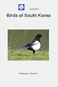 kindle best category lists