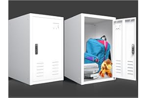 BUTISOW BUTIOSOW 20" H Metal Locker Storage Cabinet, Lockable Cabinet, Small Lockerfor Employees, Lockable 1 Door with 2 Hooks Organizer for Bedroom, School, Office, Playroom, Daycare, Garage
