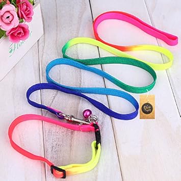 The Pets Company Nylon Rainbow Colorful Dog Leash and Collar Set, Suitable for All Small & Medium Dog Breeds