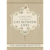Llewellyn's Little Book of Life Between Lives (Llewellyn's Little Books, 7)