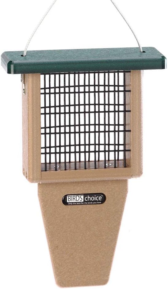 Birds Choice Suet Feeder with Tail Prop, Holds 1 Suet Cake | Hanging Suet Bird Feeder with Roof, Woodpeckers, Jays, Nuthatches | Sturdy for Garden & Backyard | Taupe & Green, 8" L x 3" W x 12" H