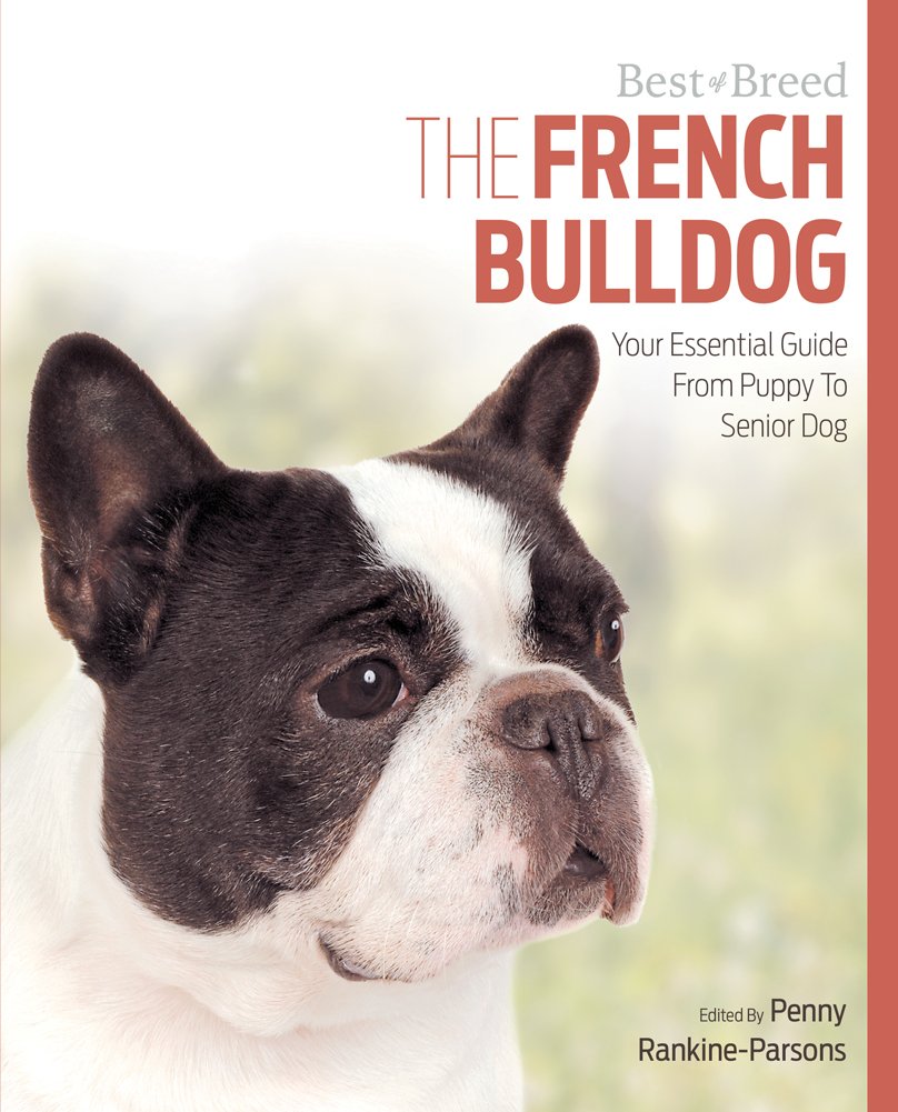 french bulldog puppy essentials
