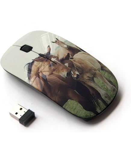 2.4G Wireless Ergonomic Mouse - Portable USB Mouse With Southwest Pattern For PC & Laptop