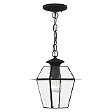 Livex Lighting 2183-04 Westover 1-Light Outdoor