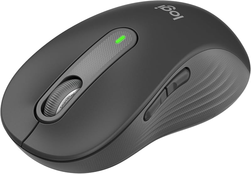 Signature M650 L Kabellose Maus - für große Hände