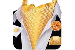 Ailisus Cravat Tie and Lapel Pin Set Mens Solid Color Paisley Ascot Silk Handkerchief Cufflinks Wedding