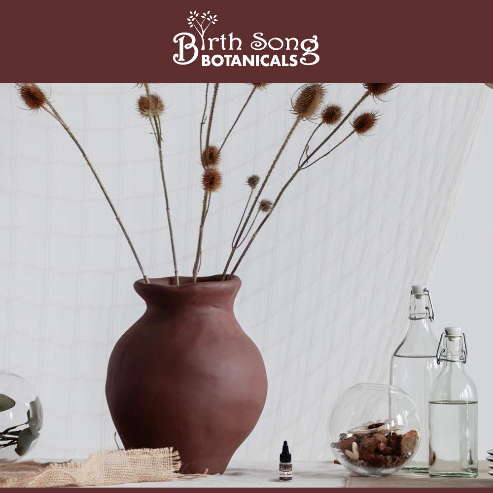 Birth Song Botanicals Herbal Cord Care Powder, Newborn Umbilical Cord Care, Postpartum Essential Gift for New Moms 0.2 oz