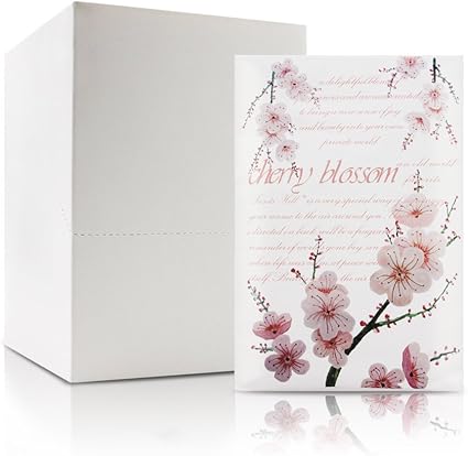 Amazon Com Scented Sachet For Drawers And Closets Lot Of 12