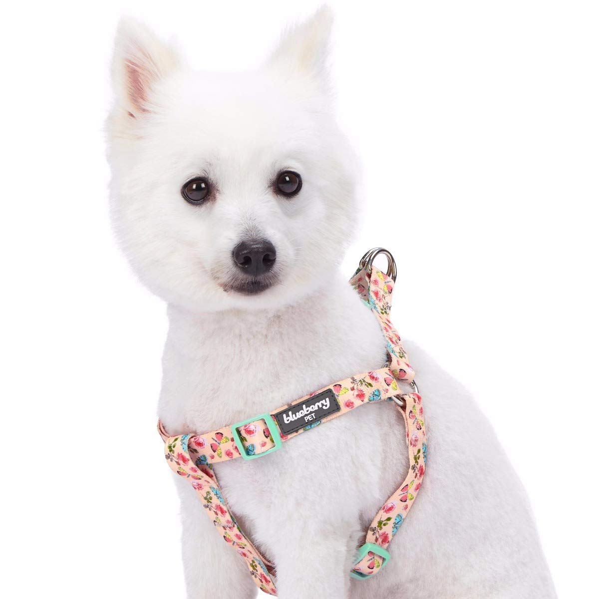 Blueberry Pet New Step-in Spring Scent Inspired Rose and Butterfly Print Pastel Pink Dog Harness, Chest Girth 67cm-98cm, Large, Adjustable Harnesses for Dogs