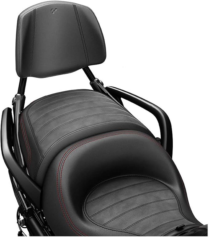 CanAm Spyder 2015 F3 Detachable Passenger Backrest IN