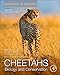 Cheetahs: Biology and Conservation: Biodiversity of the World: Conservation from Genes to Landscapes