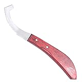 Equine Care Bot Egg Knife for Horses – Precision