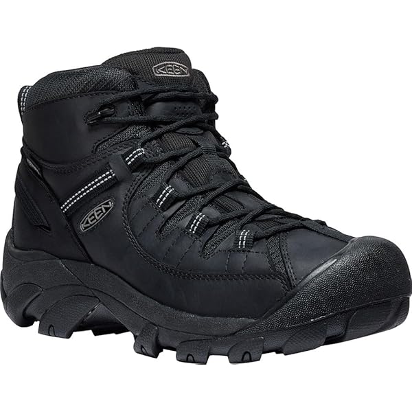 Amazon.com | KEEN Men's Targhee Lace High Polar Waterproof