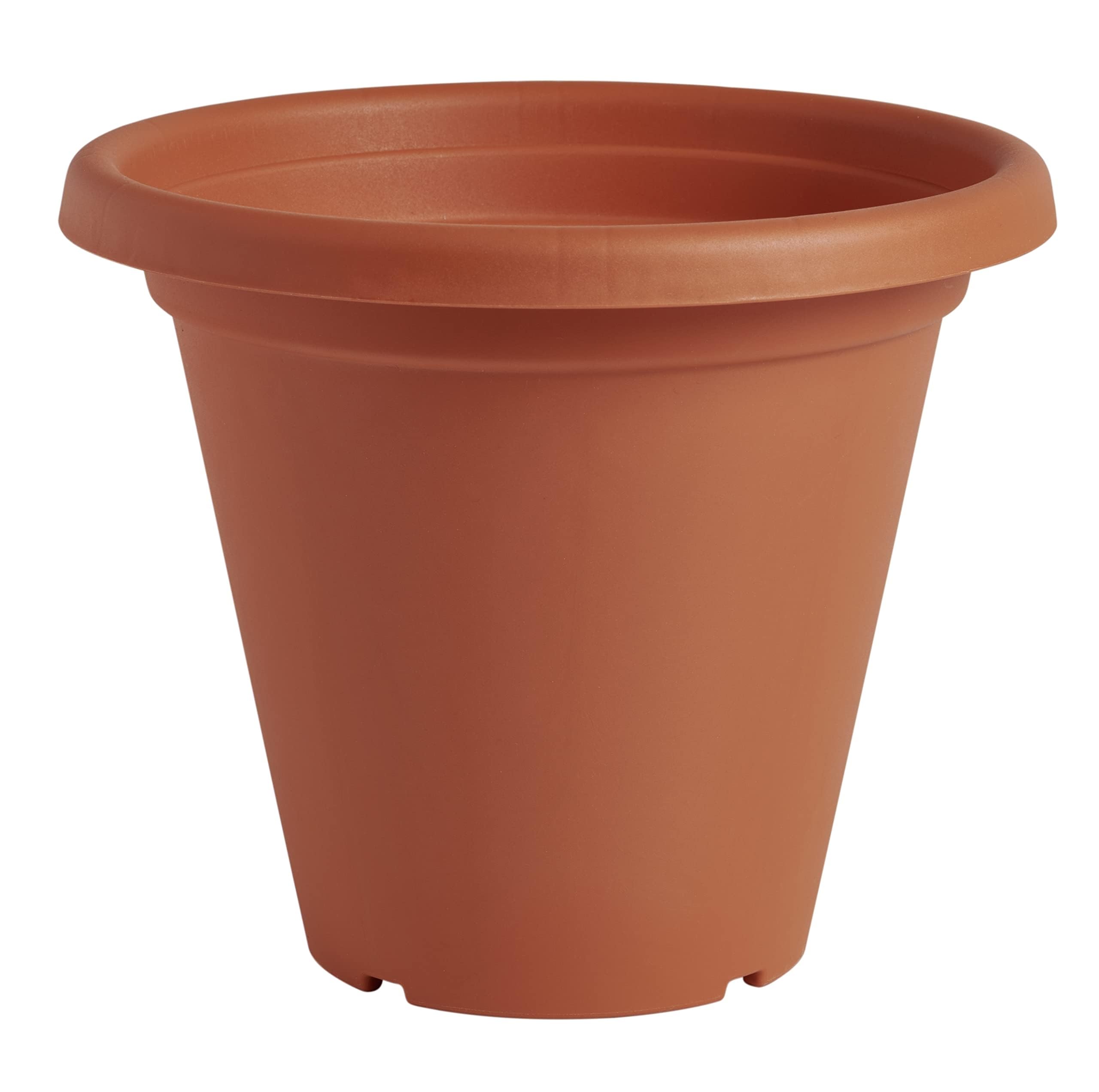 Clever Pots Plastic Plant Pot, 19cm/20cm Outdoor or Indoor Pot with Drainage Holes, Lightweight and Weather Resistant Planter for Flowers Plants
