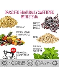 LadyBoss Lean Polvo de proteínas y sustitutivos de comidas, bebida nutricional de gran sabor, suero, sabor...