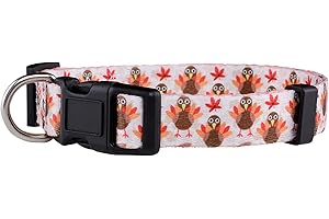 Native Pup Thanksgiving Dog Collar- Fall Collars for Dogs- Autumn Leaf, Turkey, Pumpkin Pie, Holiday Leaves- Girl Boy Puppy- Adjustable for Small, Medium, Large Breeds (Turkey, Large)