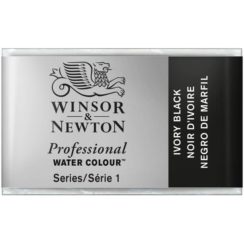 Winsor & Newton Professional Watercolor - Watercolor Paint, High Brightness, Light Resistant, Archive Quality, Bucket, Ivory Black Color