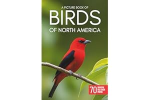 A Picture Book of Birds of North America: 70 Beautiful Bird Photos for Seniors and People Living with Alzheimer’s or Dementia