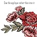 OPount 2 Pieces Embroidery Lace Flower Applique Sew On Patch 5 Roses on a Branch For Craft, Sewing, Clothing, Scrapbooking Decoration
