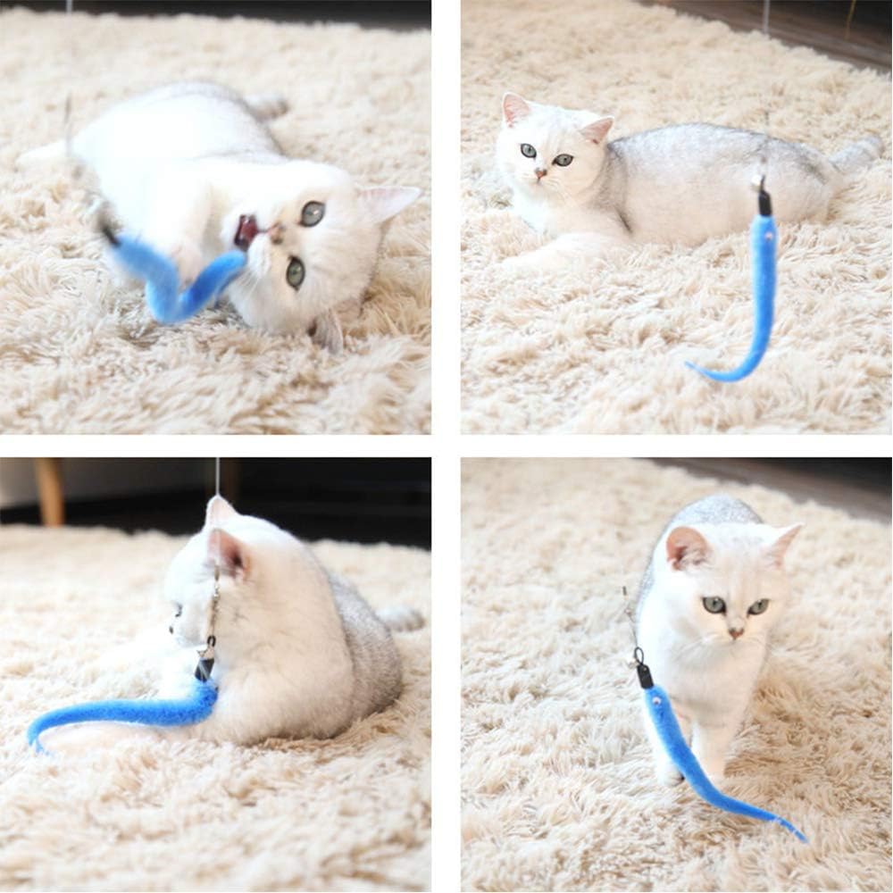 M JJYPET Cat Wand Toy Replacement Refill, 10 Packs Cat Worm Toy, Assorted Teaser Refills with Bell for Cat, Kitten : Pet Supplies